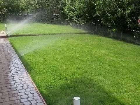 Plant Garden Servicii peisagistica Iasi