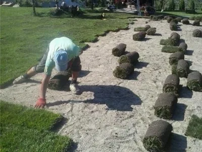 Plant Garden Servicii peisagistica Iasi