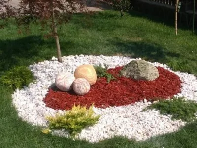 Plant Garden Servicii peisagistica Iasi