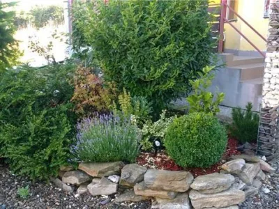 Plant Garden Servicii peisagistica Iasi