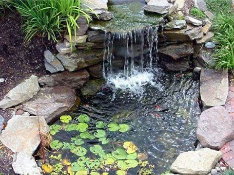 Plant Garden Servicii peisagistica Iasi
