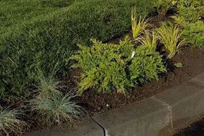 GREEN SPOT amenajare si intretinere spatii verzi Brasov