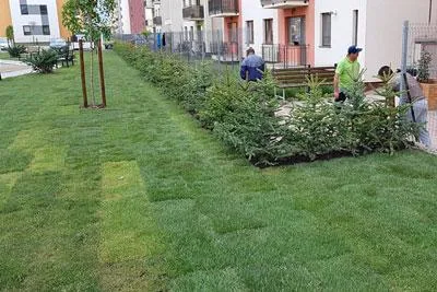 GREEN SPOT amenajare si intretinere spatii verzi Brasov