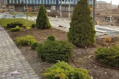 GREEN SPOT amenajare si intretinere spatii verzi Brasov