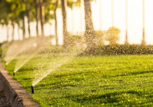 GREEN SPOT amenajare si intretinere spatii verzi Brasov