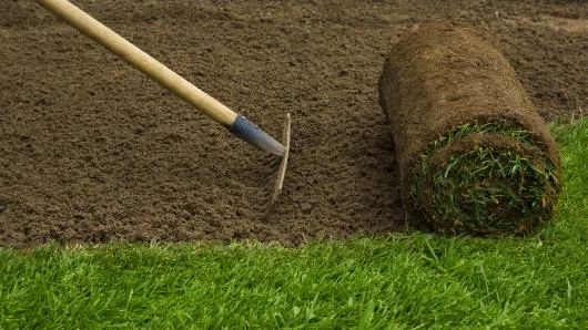 GREEN SPOT amenajare si intretinere spatii verzi Brasov