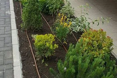 GREEN SPOT amenajare si intretinere spatii verzi Brasov