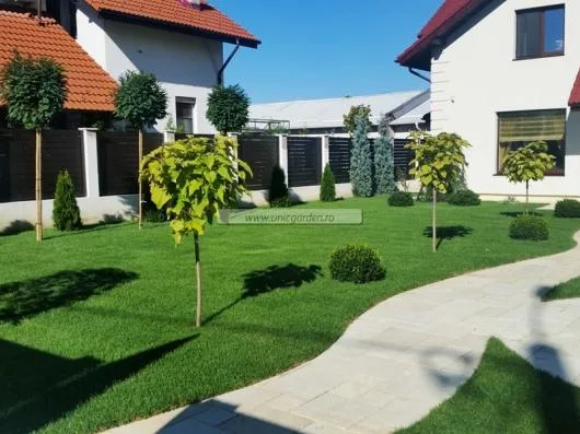 Unic Garden Amenajari gradini si spatii verzi Pitesti