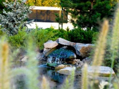 Natural Design amenajari gradini si spatii verzi in Bucuresti si in tara