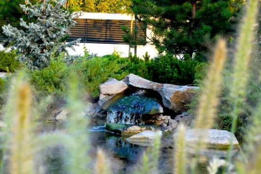 Natural Design amenajari gradini si spatii verzi in Bucuresti si in tara