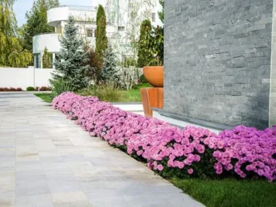 Natural Design amenajari gradini si spatii verzi in Bucuresti si in tara