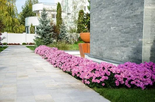 Natural Design amenajari gradini si spatii verzi in Bucuresti si in tara