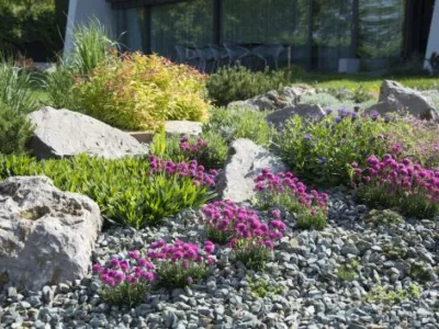 Natural Design amenajari gradini si spatii verzi in Bucuresti si in tara