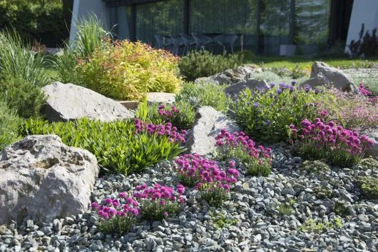 Natural Design amenajari gradini si spatii verzi in Bucuresti si in tara