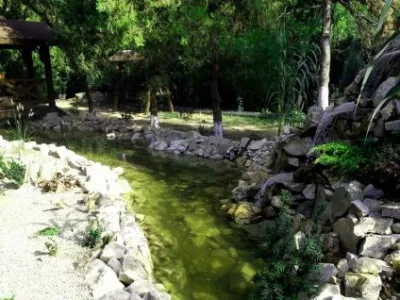 Slobozia / Ialomita - Amenajari gradini,iazuri