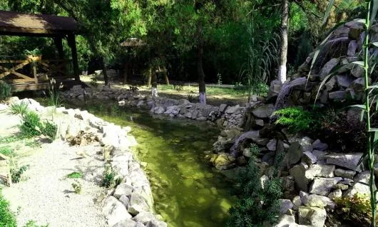 Slobozia / Ialomita - Amenajari gradini,iazuri