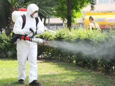 Dezinsectie - deratizare - dezinfectie Non Stop - Bucuresti