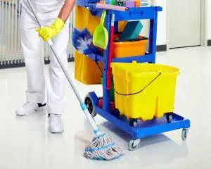 BDA Cleaning Services Servicii profesionale de curatenie in Timisoara