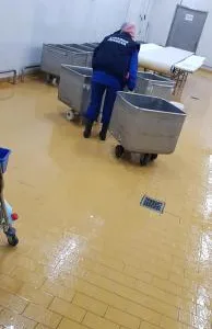 Firma specializata in Servicii de curatenie