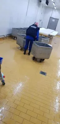 Firma specializata in Servicii de curatenie