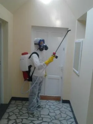 Rainbow Sibiu Servicii in domeniul curateniei