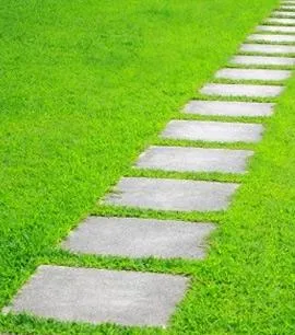 Proprietati Bucuresti