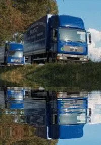 Transporturi Interne si Internationale de marfa - Prejmer / Brasov