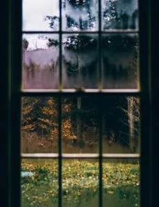 Ferestre si usi din lemn cu geam termopan - Ceptura de Jos / Prahova