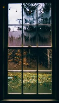 Ferestre si usi din lemn cu geam termopan - Ceptura de Jos / Prahova