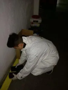 Mangu Serv Servicii curatenie Alba Iulia