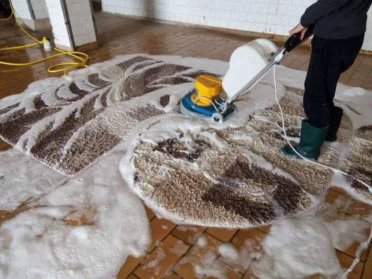 Mangu Serv Servicii curatenie Alba Iulia