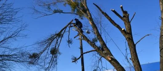 Alpinism Utilitar Bucuresti -Ilfov