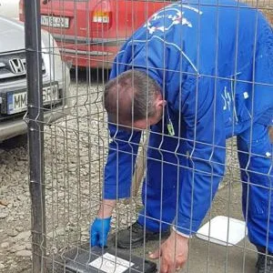 Deratizare - dezinsectie si dezinfectie Bihor