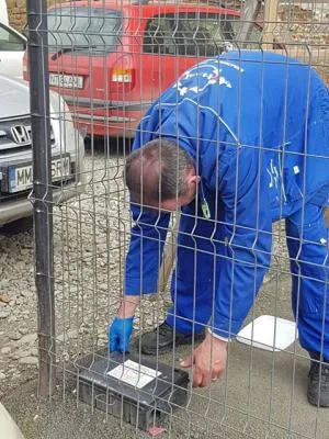 Deratizare - dezinsectie si dezinfectie Bihor