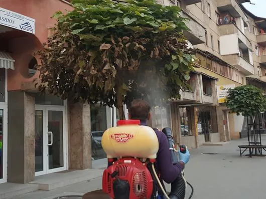 Deratizare - dezinsectie si dezinfectie Bihor