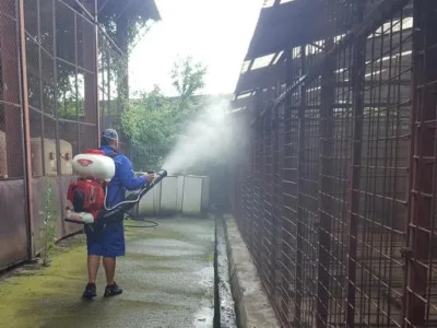 Deratizare - dezinsectie si dezinfectie Bihor