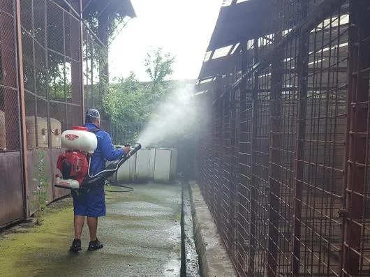 Deratizare - dezinsectie si dezinfectie Bihor