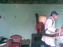 Deratizare - dezinsectie si dezinfectie Bihor