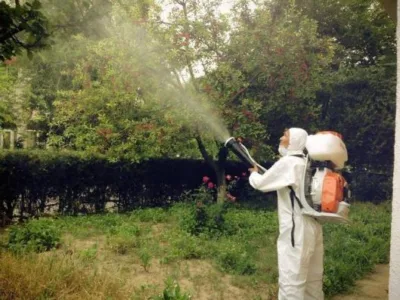 Dezinsectie si dezinfectie Constanta