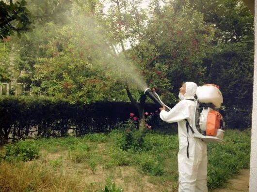 Dezinsectie si dezinfectie Constanta