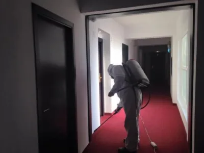 Dezinsectie si dezinfectie Constanta