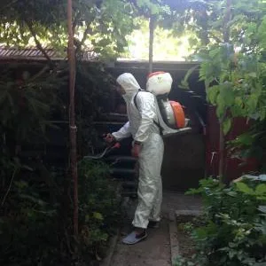 Dezinsectie si dezinfectie Constanta