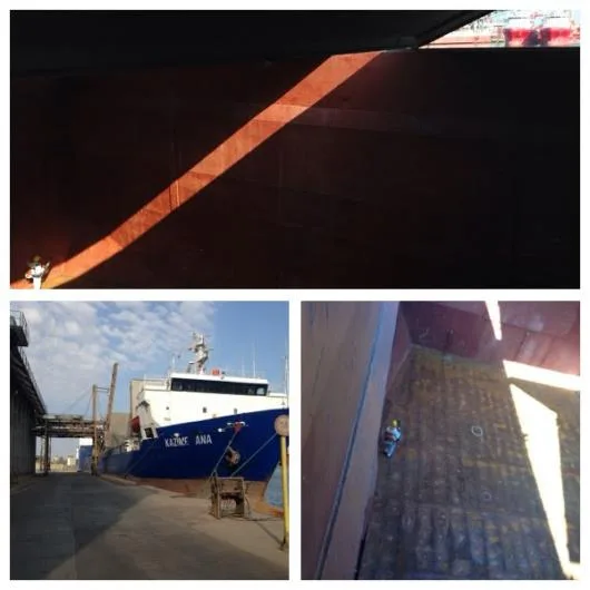 Dezinsectie si dezinfectie Constanta