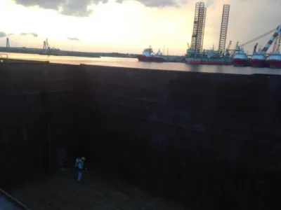 Dezinsectie si dezinfectie Constanta