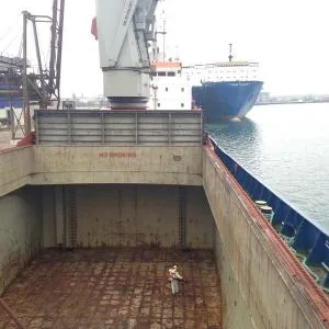 Dezinsectie si dezinfectie Constanta