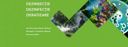 Dezinfectie - deratizare Iasi