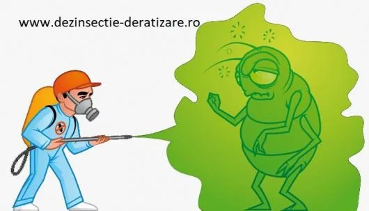 Dezinsectie -deratizare.ro Ilfov