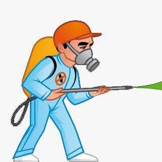 Dezinsectie -deratizare.ro Ilfov