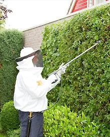 Dezinsectie -deratizare.ro Ilfov