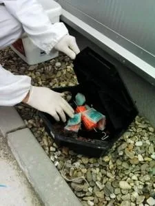 Deratizare - dezinsectie - dezinfectie Arges